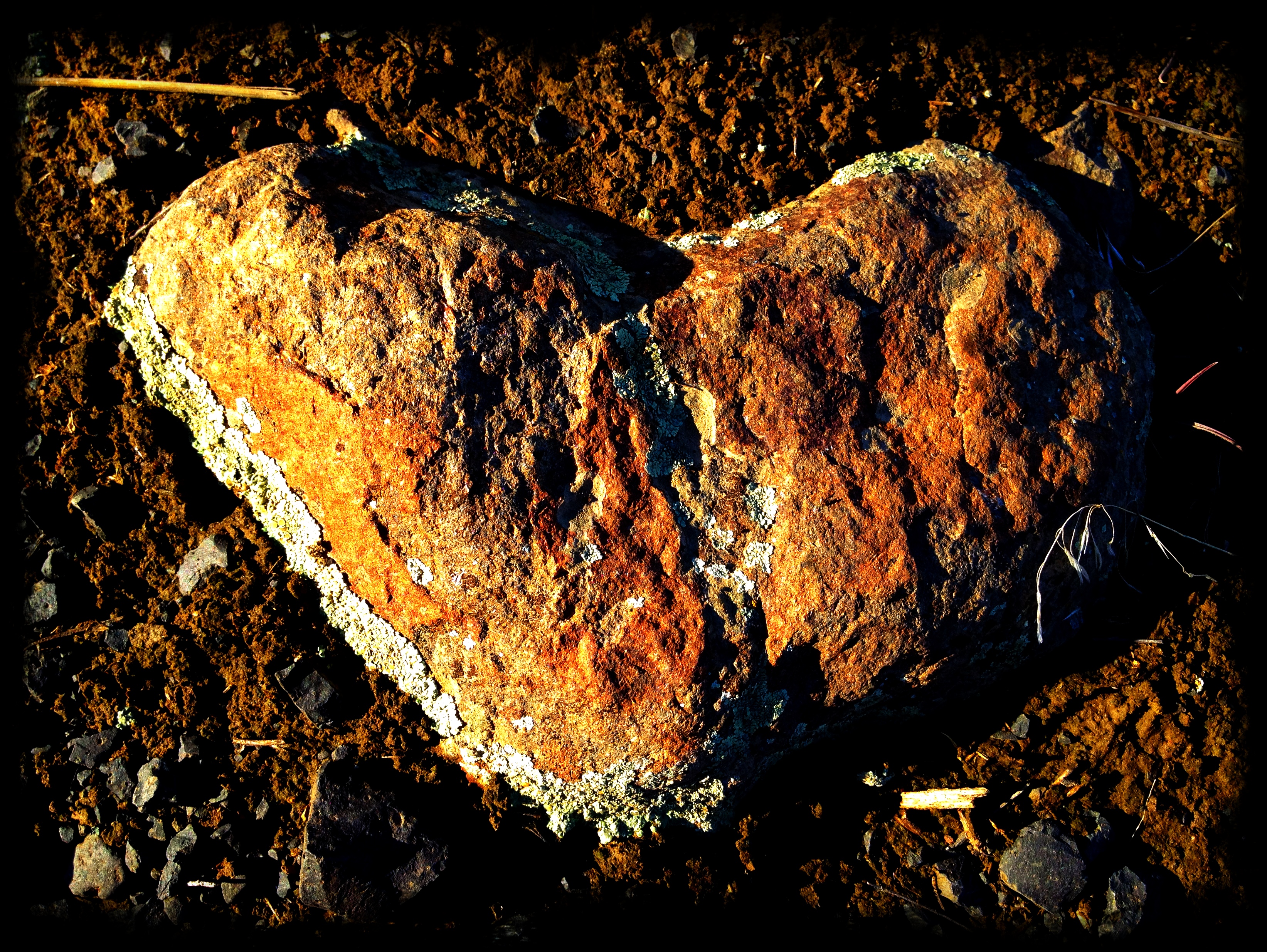 The Way of Love