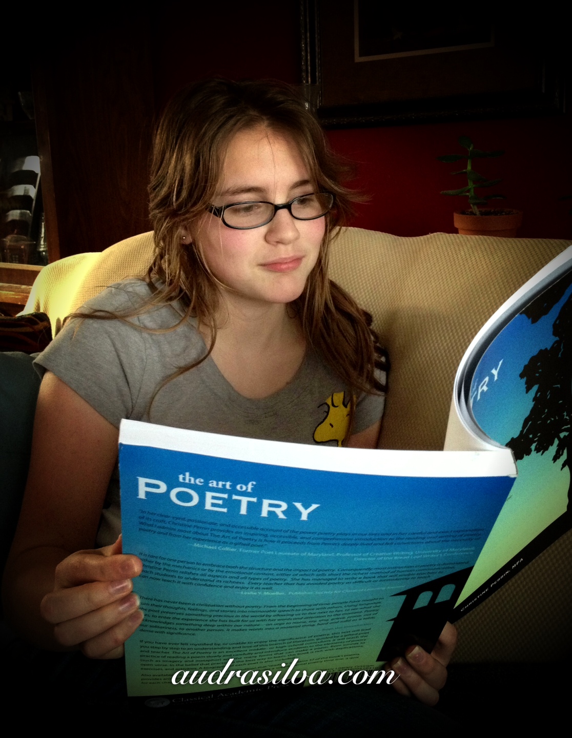 The Art of Poetry (Review)