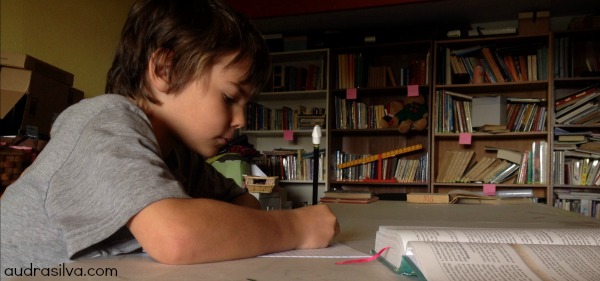 Progeny Press Study Guides For Literature (A Review)