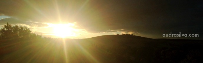 Sunbursts and Catnaps